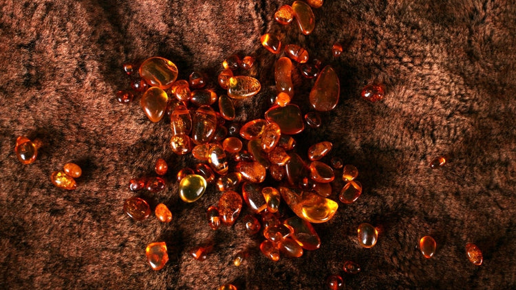 琥珀調 (Amber)